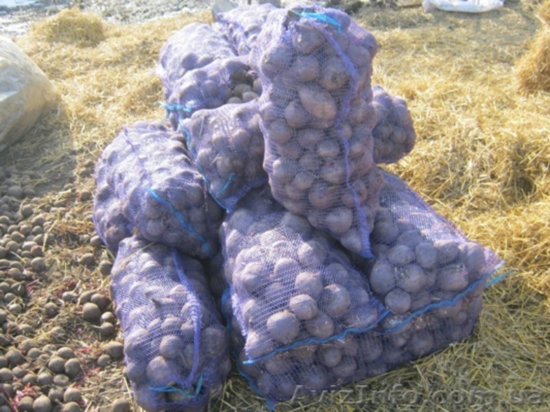 Вьячеслав Юрьевич - <ro>Изображение</ro><ru>Изображение</ru> #4, <ru>Объявление</ru> #594000