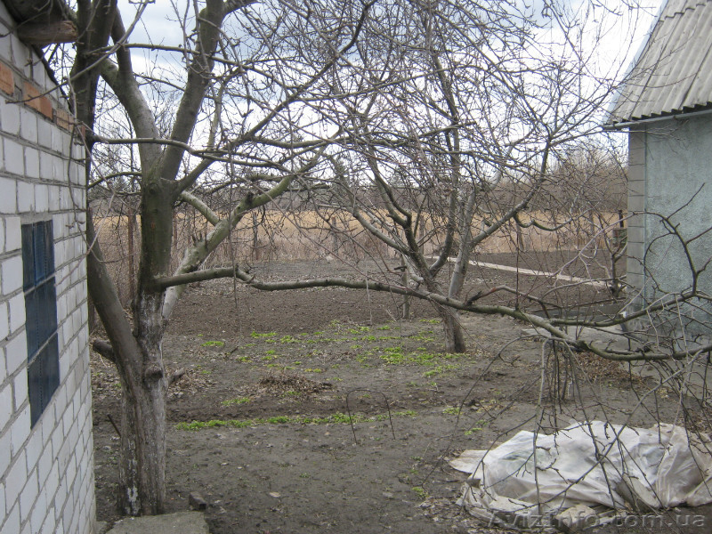 Дача в садов/товарищ 50 кв.м перед Кировским - <ro>Изображение</ro><ru>Изображение</ru> #4, <ru>Объявление</ru> #596329