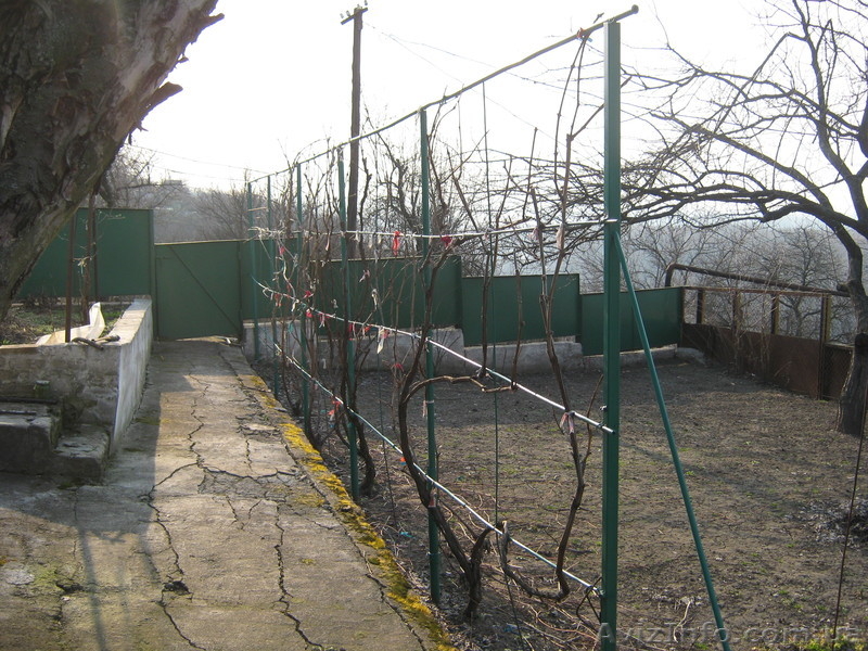 продам дачу в таромском - <ro>Изображение</ro><ru>Изображение</ru> #3, <ru>Объявление</ru> #573073