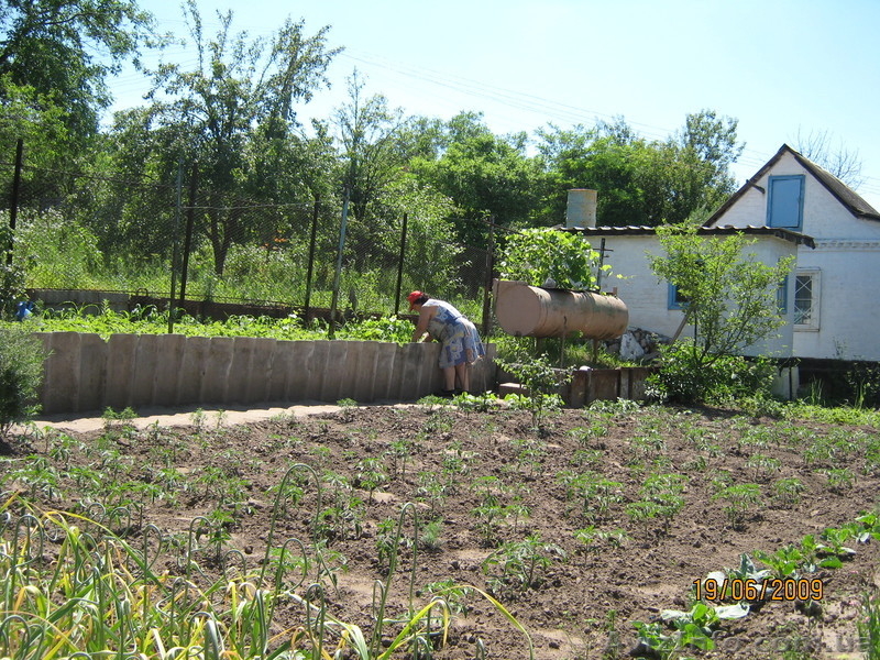 продам дачу в таромском - <ro>Изображение</ro><ru>Изображение</ru> #5, <ru>Объявление</ru> #573073