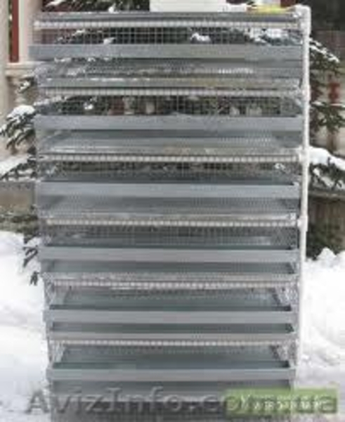 продам перепелов - <ro>Изображение</ro><ru>Изображение</ru> #3, <ru>Объявление</ru> #582853