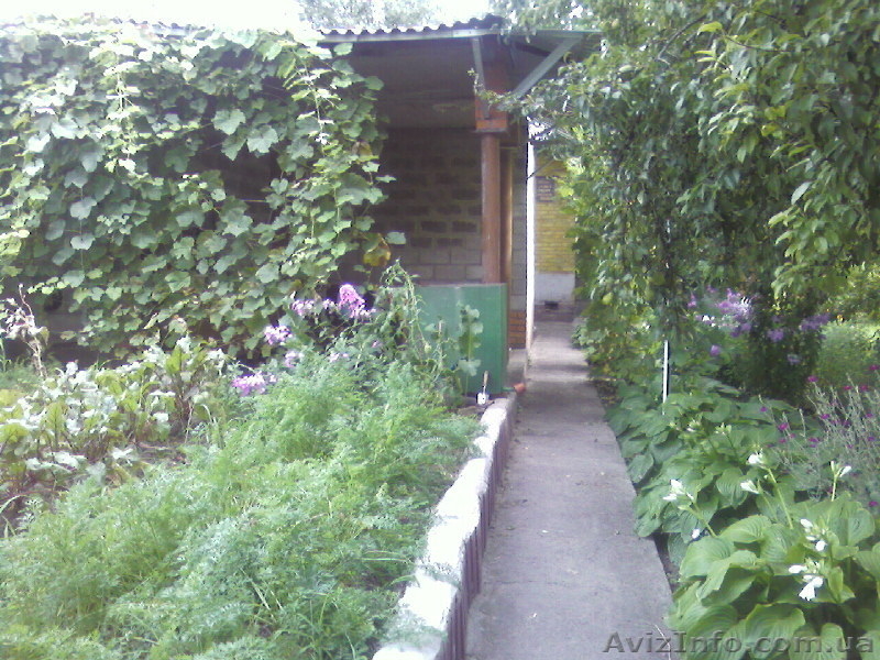 Дача в Таромском СТО"Локомотивец" - <ro>Изображение</ro><ru>Изображение</ru> #3, <ru>Объявление</ru> #615043