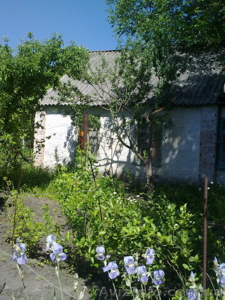 Продам дачу. Срочно!! - <ro>Изображение</ro><ru>Изображение</ru> #3, <ru>Объявление</ru> #667667