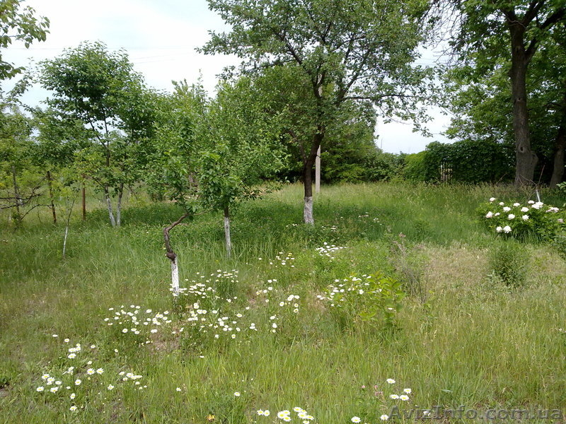 Продам дачу Левобережный-3 - <ro>Изображение</ro><ru>Изображение</ru> #3, <ru>Объявление</ru> #666385