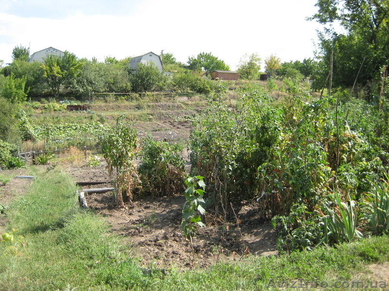 Дача за Игренем (Васильевка) - <ro>Изображение</ro><ru>Изображение</ru> #4, <ru>Объявление</ru> #652298