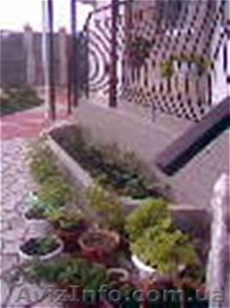 Крым! Недорогой отдых! - <ro>Изображение</ro><ru>Изображение</ru> #3, <ru>Объявление</ru> #560822