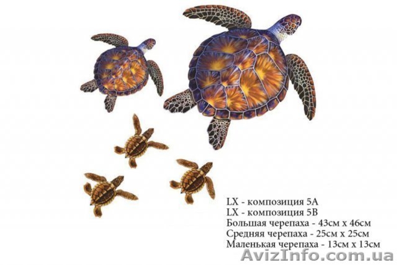 Аппликации для бассейнов с 3D эффектом - <ro>Изображение</ro><ru>Изображение</ru> #3, <ru>Объявление</ru> #653022