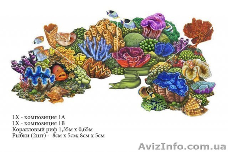 Аппликации для бассейнов с 3D эффектом - <ro>Изображение</ro><ru>Изображение</ru> #6, <ru>Объявление</ru> #653022