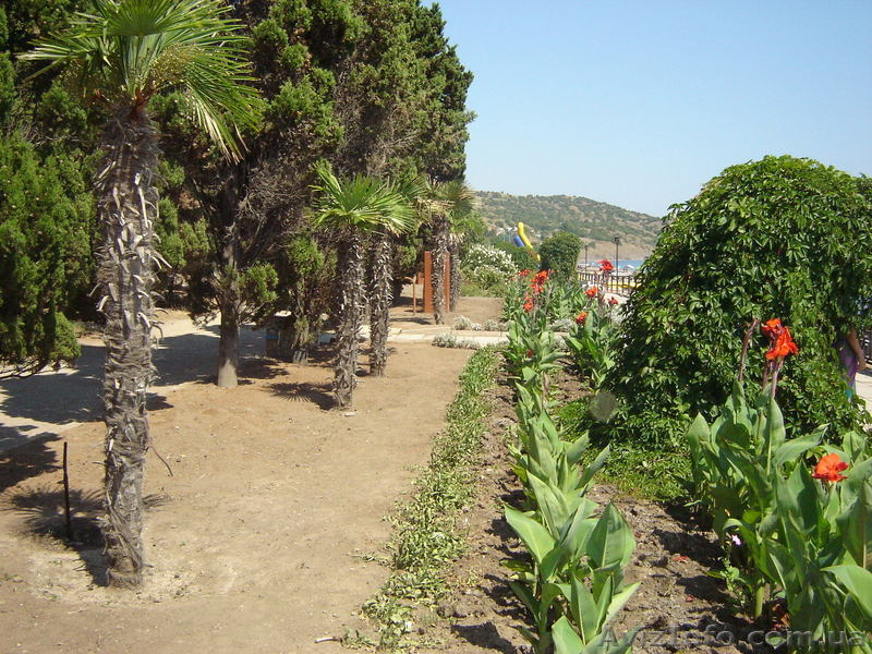 7 дней за 1 200 гривен в КРЫМУ! - <ro>Изображение</ro><ru>Изображение</ru> #5, <ru>Объявление</ru> #660813