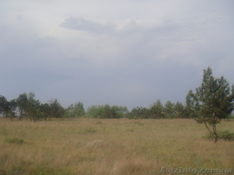 Продам,,,,,,,,,,,,,,,,,,,,,,,,,,,,,,,,,,,,,, - <ro>Изображение</ro><ru>Изображение</ru> #4, <ru>Объявление</ru> #664606