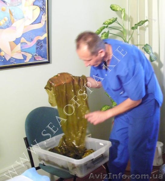 Листовая Ламинария, кустовой Фукус в косметологии лица и тела - <ro>Изображение</ro><ru>Изображение</ru> #3, <ru>Объявление</ru> #643321