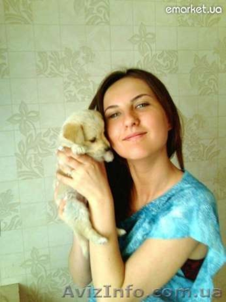 Автострахование Маргарита Акция - <ro>Изображение</ro><ru>Изображение</ru> #5, <ru>Объявление</ru> #683471