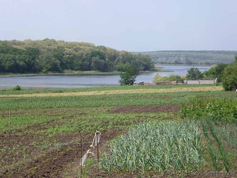 Дом на Днепре в Синельниковском районе - <ro>Изображение</ro><ru>Изображение</ru> #4, <ru>Объявление</ru> #685229