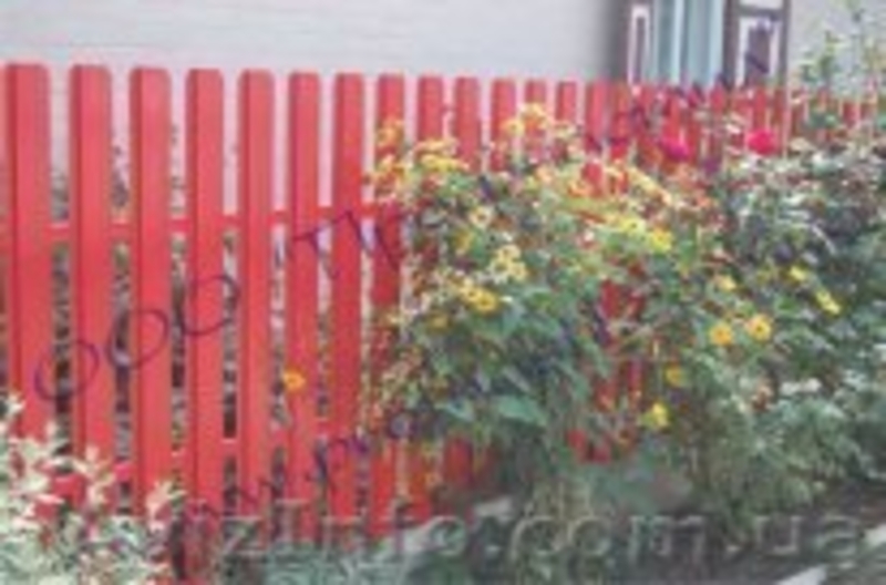 Штакетный Забор! - <ro>Изображение</ro><ru>Изображение</ru> #3, <ru>Объявление</ru> #681810