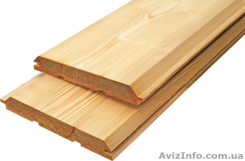 Лиственница сибирская Днепропетровск Украина - <ro>Изображение</ro><ru>Изображение</ru> #5, <ru>Объявление</ru> #153173