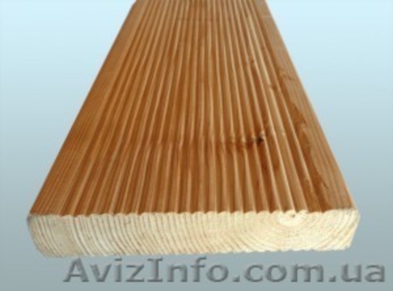 Лиственница сибирская Днепропетровск Украина - <ro>Изображение</ro><ru>Изображение</ru> #4, <ru>Объявление</ru> #153173