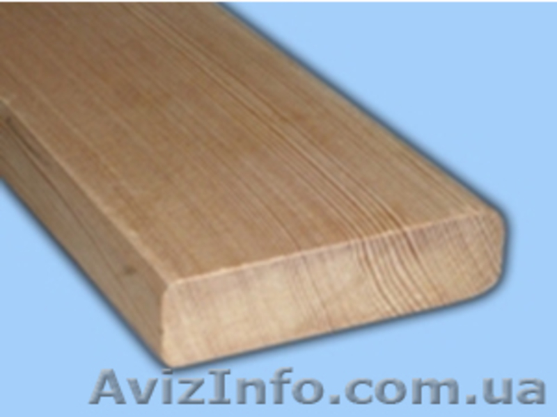 Лиственница сибирская Днепропетровск Украина - <ro>Изображение</ro><ru>Изображение</ru> #3, <ru>Объявление</ru> #153173