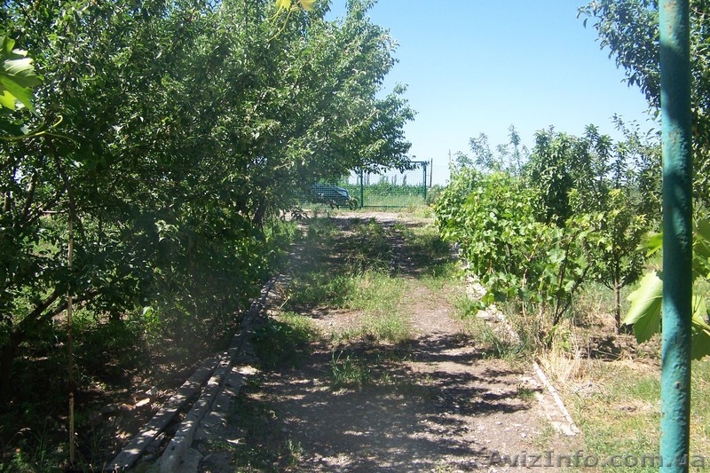 уютный дачный участок  - <ro>Изображение</ro><ru>Изображение</ru> #4, <ru>Объявление</ru> #739862