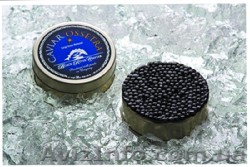 Икра черная осетровая аквакультуры - <ro>Изображение</ro><ru>Изображение</ru> #4, <ru>Объявление</ru> #741038