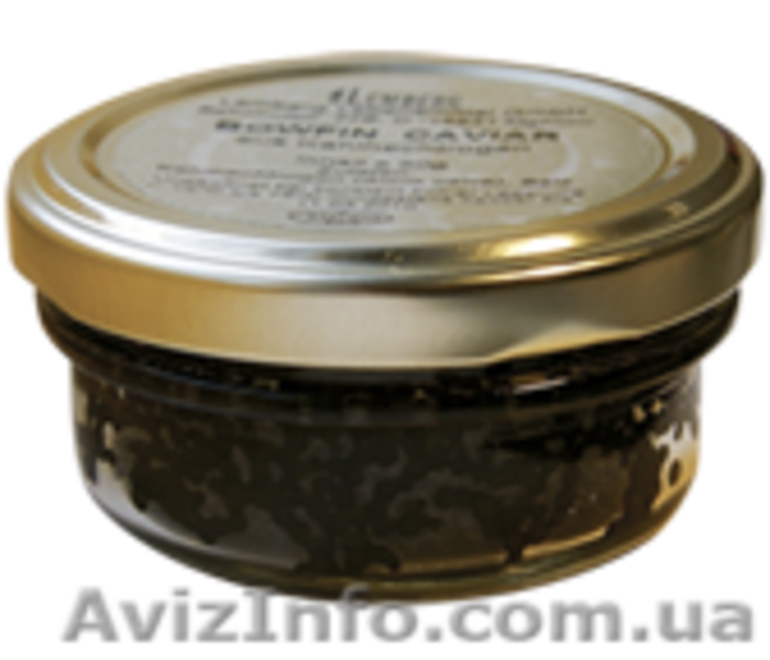 Икра черная осетровая аквакультуры - <ro>Изображение</ro><ru>Изображение</ru> #8, <ru>Объявление</ru> #741038