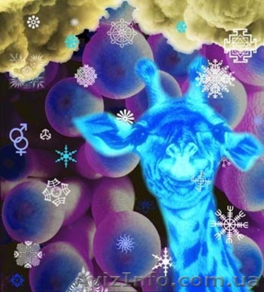  Флуоресцентная краска для дизайна   - <ro>Изображение</ro><ru>Изображение</ru> #3, <ru>Объявление</ru> #743444