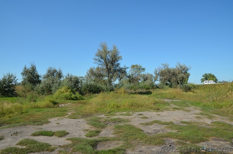 Продам участок на Донецкой трассе (свой берег) - <ro>Изображение</ro><ru>Изображение</ru> #3, <ru>Объявление</ru> #754596