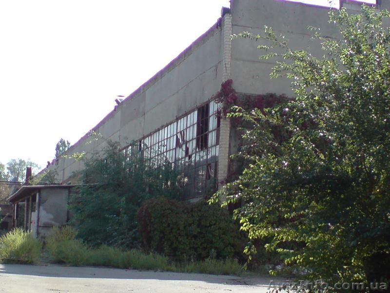 Комплекс производственных цехов и административно – офисных помещений - <ro>Изображение</ro><ru>Изображение</ru> #6, <ru>Объявление</ru> #751269