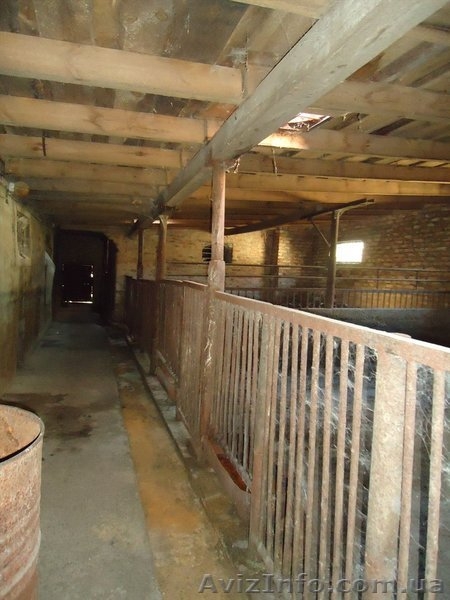 Продам свинокомплекс и дом в Солонянском районе. - <ro>Изображение</ro><ru>Изображение</ru> #5, <ru>Объявление</ru> #778435