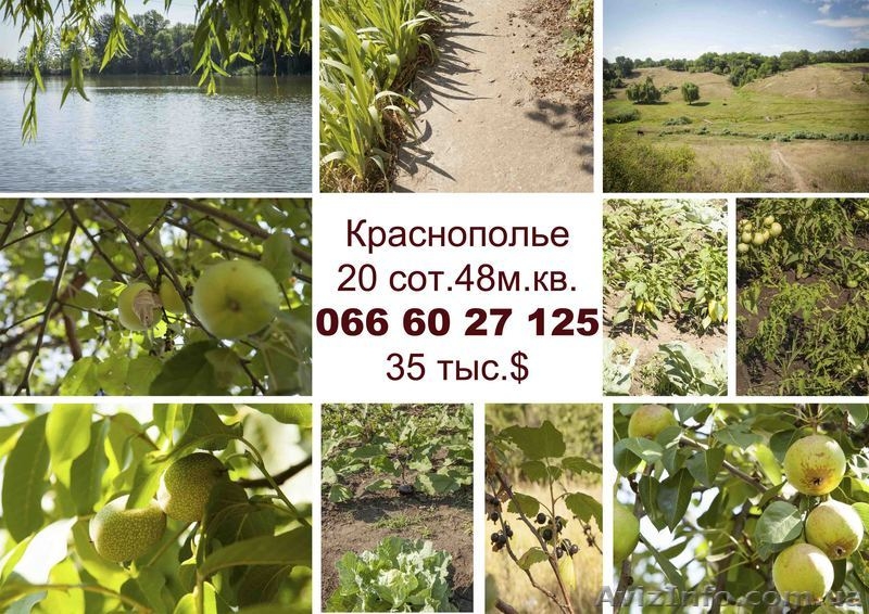 дом краснополье недорого - <ro>Изображение</ro><ru>Изображение</ru> #1, <ru>Объявление</ru> #779183
