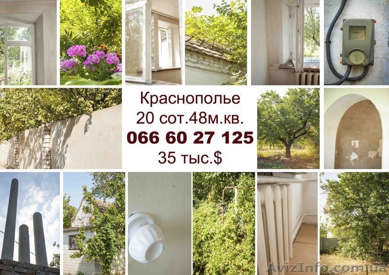 дом краснополье недорого - <ro>Изображение</ro><ru>Изображение</ru> #2, <ru>Объявление</ru> #779183
