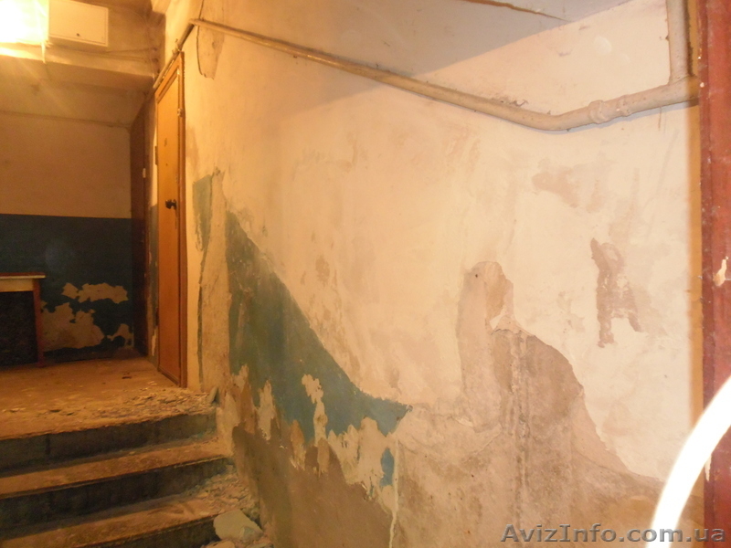 Бригада маляров выполнит ремонт подъездов  - <ro>Изображение</ro><ru>Изображение</ru> #8, <ru>Объявление</ru> #766049