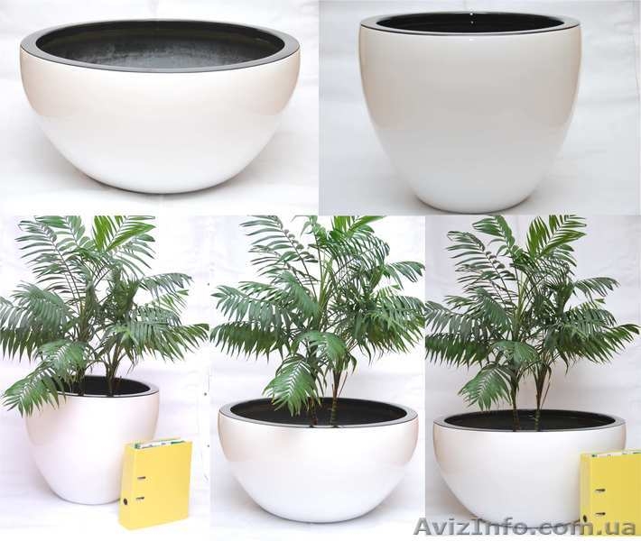 Горшки для пальм и деревьев - <ro>Изображение</ro><ru>Изображение</ru> #5, <ru>Объявление</ru> #800378