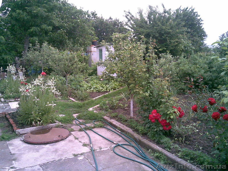 отдых, сдам жильё,дом,квартиру приморск запорожской - <ro>Изображение</ro><ru>Изображение</ru> #3, <ru>Объявление</ru> #803471