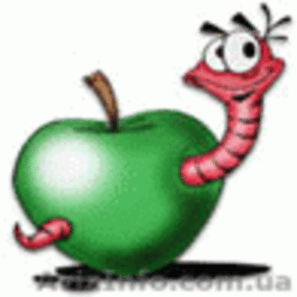 Получение биогумуса с помощью червя  Старатель. - <ro>Изображение</ro><ru>Изображение</ru> #3, <ru>Объявление</ru> #802771