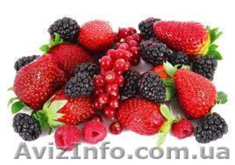 Свежие ягоды и фрукты круглый год - <ro>Изображение</ro><ru>Изображение</ru> #4, <ru>Объявление</ru> #812255