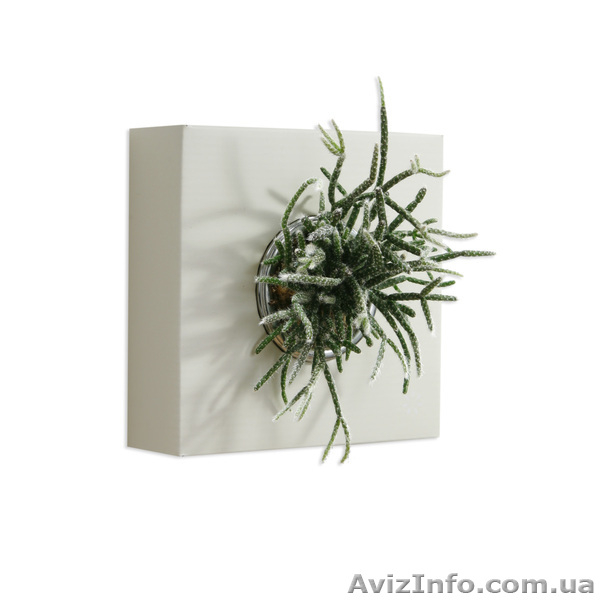 Цветочный декор - <ro>Изображение</ro><ru>Изображение</ru> #4, <ru>Объявление</ru> #849472