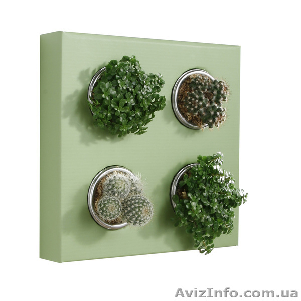 Цветочный декор - <ro>Изображение</ro><ru>Изображение</ru> #3, <ru>Объявление</ru> #849472