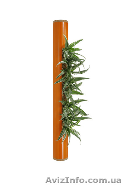 Цветочный декор - <ro>Изображение</ro><ru>Изображение</ru> #5, <ru>Объявление</ru> #849472