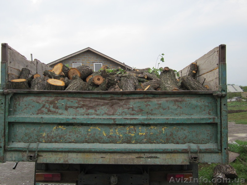 Сосновые и фруктовые дрова - <ro>Изображение</ro><ru>Изображение</ru> #3, <ru>Объявление</ru> #835014