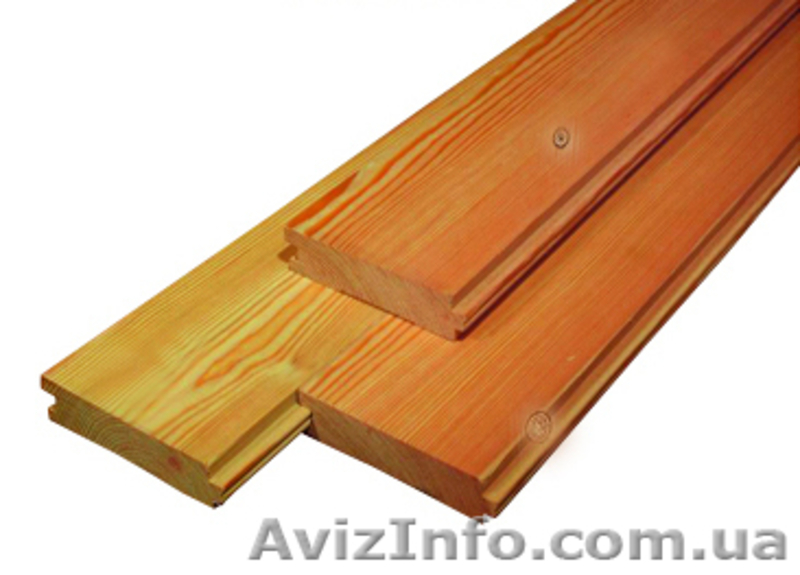 Сибирская лиственница Днепропетровск - <ro>Изображение</ro><ru>Изображение</ru> #4, <ru>Объявление</ru> #857889