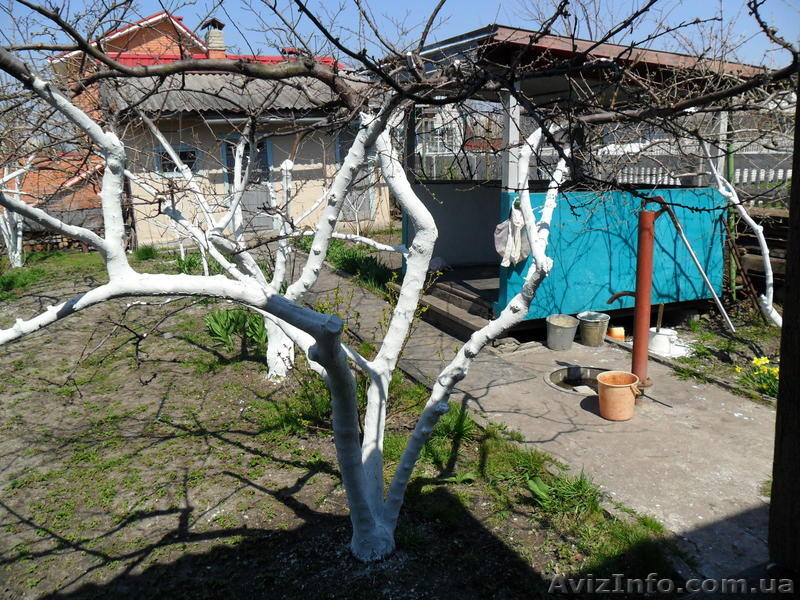 Продам 2х эт. дом-дачу  - <ro>Изображение</ro><ru>Изображение</ru> #3, <ru>Объявление</ru> #861696