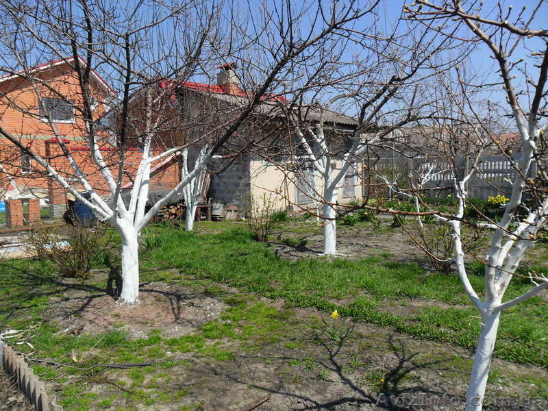 Продам 2х эт. дом-дачу  - <ro>Изображение</ro><ru>Изображение</ru> #5, <ru>Объявление</ru> #861696