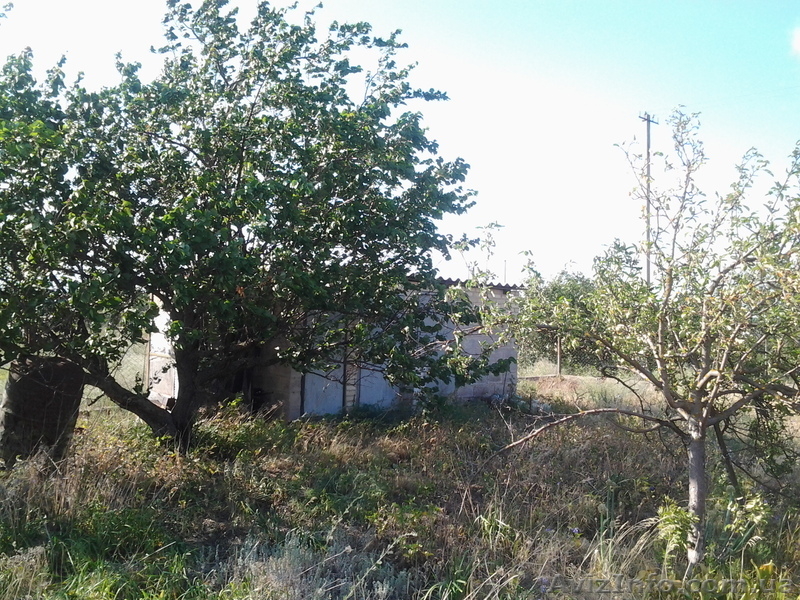 Продам дачу в Баловке - <ro>Изображение</ro><ru>Изображение</ru> #3, <ru>Объявление</ru> #865190