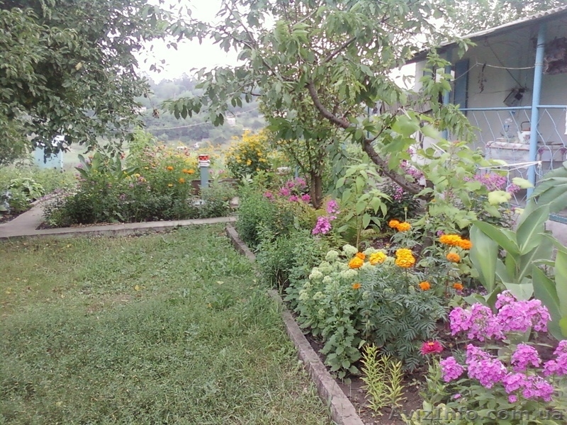 Продам дачу  в Новониколаевке,Сурско-Клевцеве на берегу Суры река- в конце огоро - <ro>Изображение</ro><ru>Изображение</ru> #3, <ru>Объявление</ru> #871012