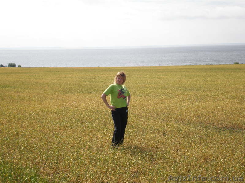 срочно продамДачу - <ro>Изображение</ro><ru>Изображение</ru> #6, <ru>Объявление</ru> #869413