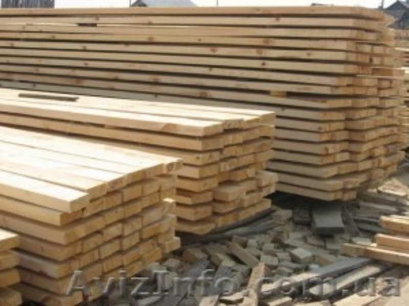 Сибирская лиственница Днепропетровск - <ro>Изображение</ro><ru>Изображение</ru> #6, <ru>Объявление</ru> #857889