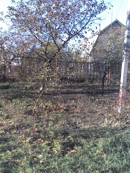 Продам пол дома в селе СРОЧНО! - <ro>Изображение</ro><ru>Изображение</ru> #3, <ru>Объявление</ru> #877838