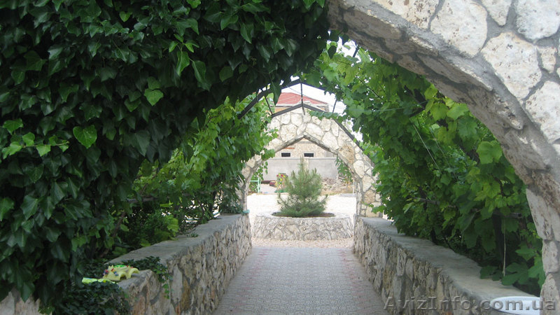 Отдых на частной территории в Крыму, Тарханкут - <ro>Изображение</ro><ru>Изображение</ru> #3, <ru>Объявление</ru> #896395