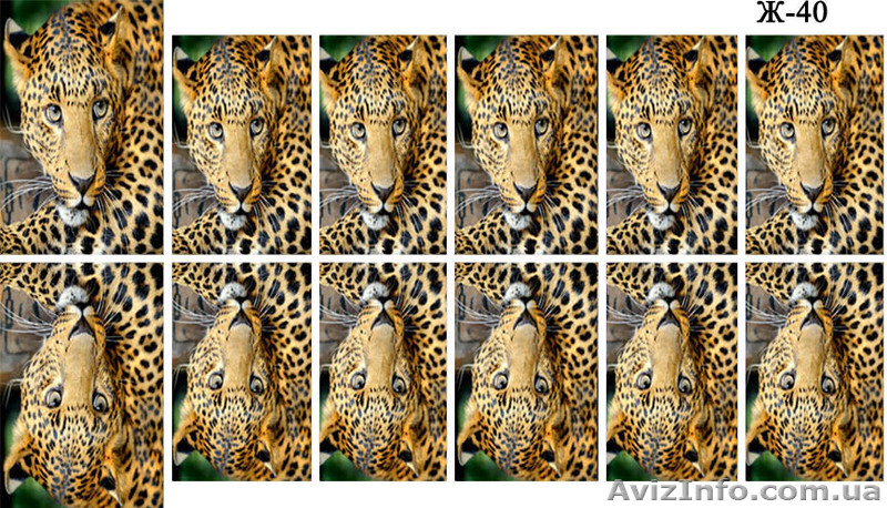 Фотодизайн для ногтей - <ro>Изображение</ro><ru>Изображение</ru> #6, <ru>Объявление</ru> #898045