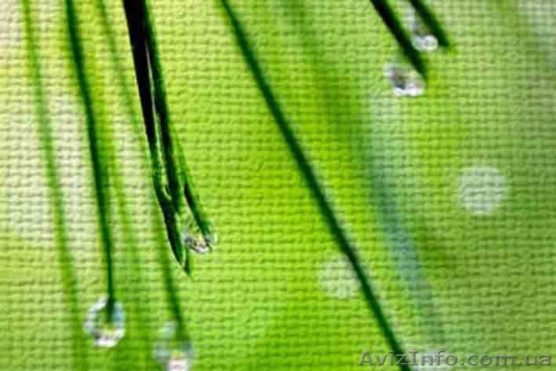 Фотообои печать - <ro>Изображение</ro><ru>Изображение</ru> #3, <ru>Объявление</ru> #905384